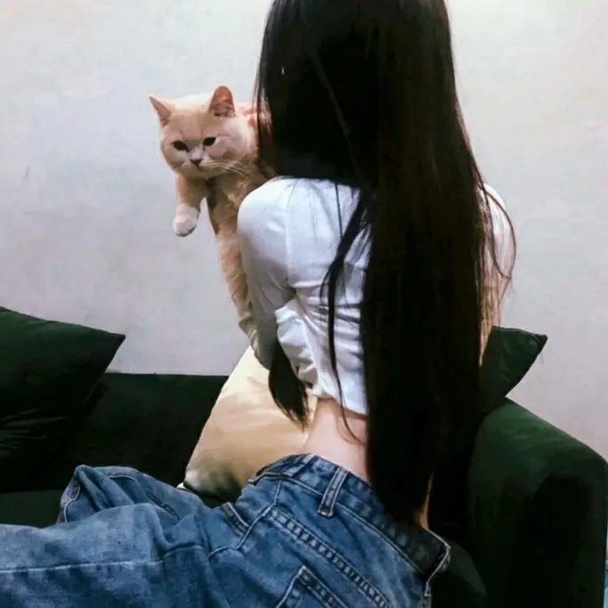 权力的游戏